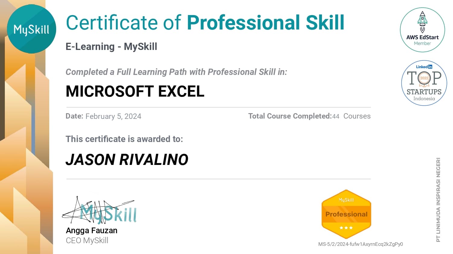 Microsoft Excel - Professional Skill